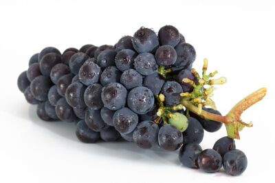 grapes-2032838_640